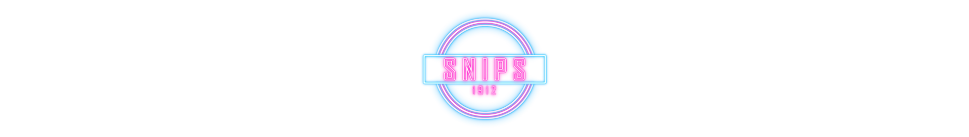 SNIPS1912