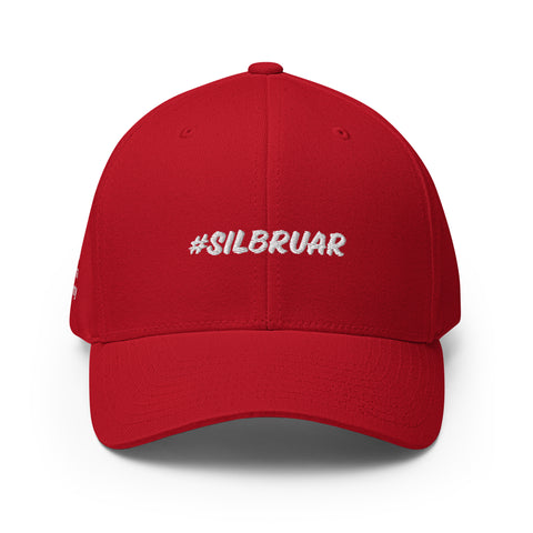 Silbruar - Flexfit-Cap mit Stick