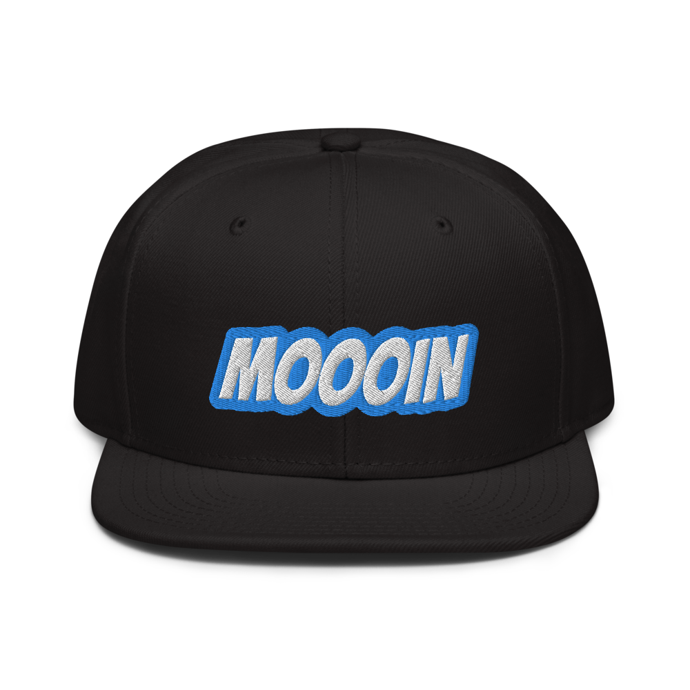 lukasb_20 - Snapback-Cap mit Stick